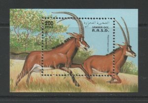 Thematic Stamps Animals - SAHARA 1984 ANIMALS MIN SHEET mint