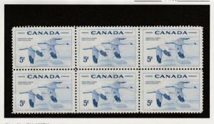 353 Whooping Crane