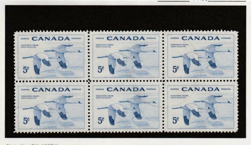 353 Whooping Crane