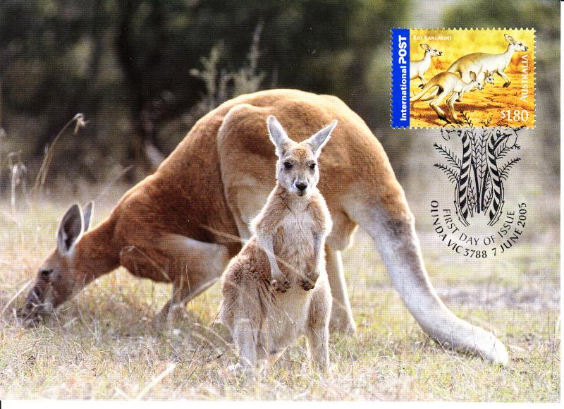 Australia 2005 Maxicard Scott #2389 $1.80 Red kangaroo - Bush Wildlife