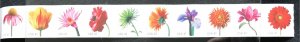 US MNH #4166-4175 Coil Strip of 10 (not in order) Beautiful Blooms SCV $20.00