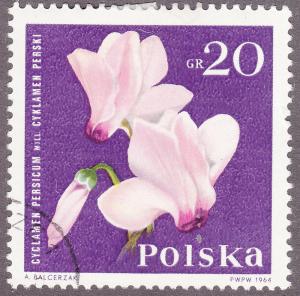 Poland 1279 Cyclamen 1964