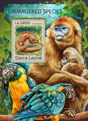 SIERRA LEONE 2016 SHEET ENDANGERED SPECIES WILDLIFE MONKEYS PARROTS srl161203b