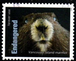 NEW-2023 - (66c) - Endangered Species Marmot - 11 of 20 - Used Off Paper