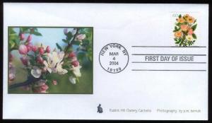 US #3837 Rabbit Hill Gallery Photo First Day Cover Cachet