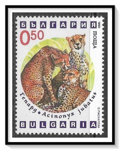 Bulgaria #3738 Wild Cats MNH