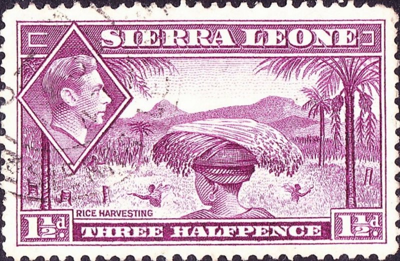 SIERRA LEONE 1941 KGVI 1½d Mauve SG190a Used