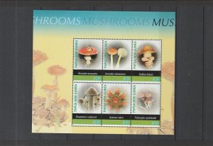 Papua New Guinea  Scott#  1180  MNH  S/S  (2005 Mushrooms)