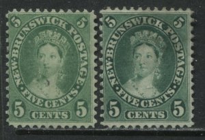 New Brunswick QV 1860 5 cents 2 different shades unused no gum