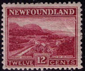 Newfoundland #  141  Mint VF  VLH   Cat $  10
