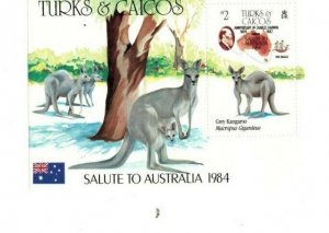 Turks and Caicos - 1984 - Ausipex Darwin Visit -Souvenir Sheet-MNH (Scott#644)