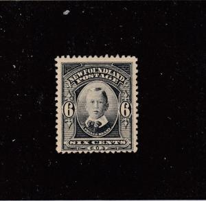 NEWFOUNDLAND # 109 MLH 6cts PRINCE HENRY CAT VALUE $40