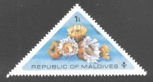 Maldive Islands Scott 557 MNH** 1975 coral stamp