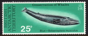 1977 BAT British Antarctic Blue Whale 25 pence issue MNH Sc# 67  CV $8.00