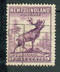 Newfoundland #191 used single - perf 13.5