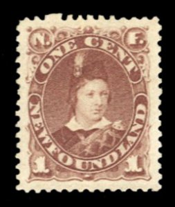 Newfoundland #41 Cat$60, 1880 1c violet brown, hinged, pencil notation on gum