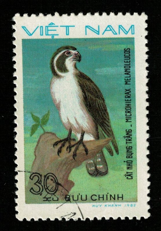 Birds 30xu (TS-654)