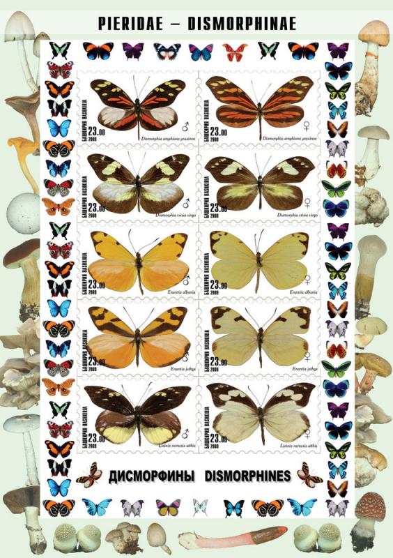 BASHKIRIA RUSSIA LOCAL SHEET IMPERF BUTTERFLIES MUSHROOMS 