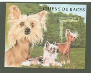 Cambodia (Kampuchea) #1644  Souvenir Sheet (Dog)