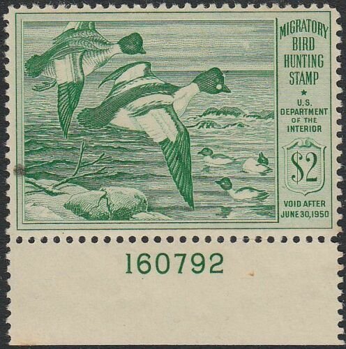 U.S. RW16 FVF App. Plate Sgl. (40920) 