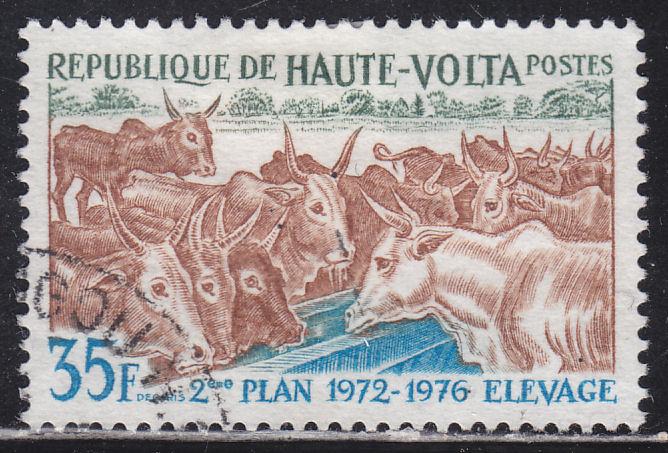 Burkina Faso 278 Domesticated Cattle 1972