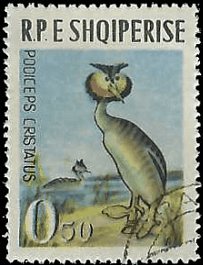 ALBANIA   #672 USED (1)