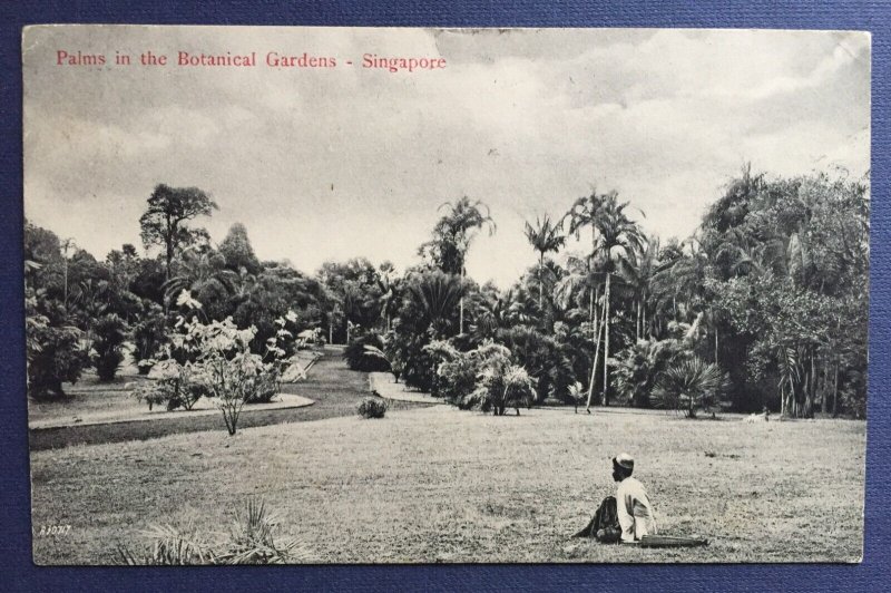 Malaya Straits KEVII 3c postcard Used SINGAPORE to TSINGTAO CHINA via SHANGHAI