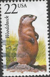 # 2307 USED WOODCHUCK