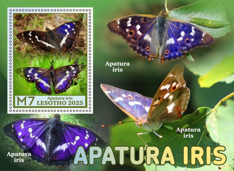 Stamps.Fauna, Butterflies  2025 year 8 sheets perforated
