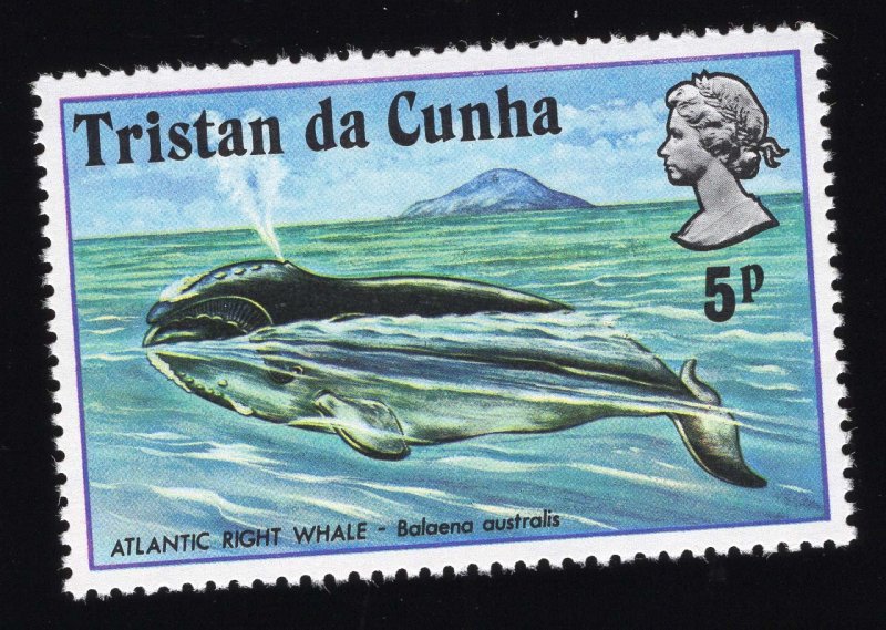 Tristan Da Cunha Scott #202-205 Stamps - Mint NH Set