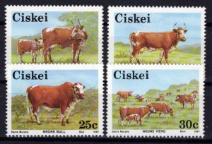 South Africa Ciskei 106-109 MNH Cows Farm Animals ZAYIX 0424S0065M