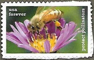 United States #5231 (49c) Protect Pollinators: Honey Bee & Red Aster MNH (2017)