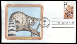 #2302 Ringtail Geerlings FDC
