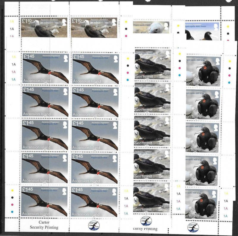 ASCENSION SG1176/81 2013 FRIGATEBIRD SHEETLETS MNH