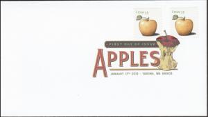 US 4728 Apples Golden Delicious DCP FDC 2013