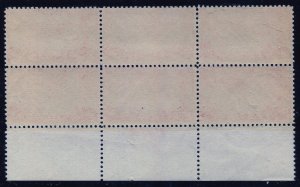 US Stamp #C22  PLATE BLOCK/6  Mint OGNH⭐⭐⭐⭐⭐
