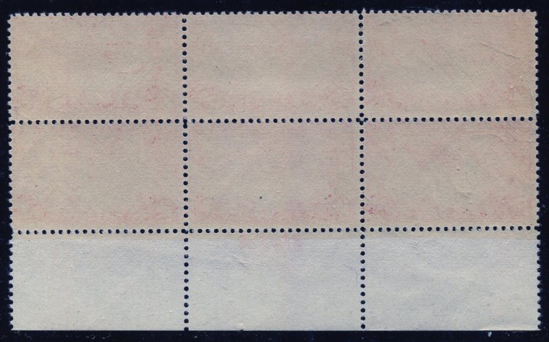 US Stamp #C22  PLATE BLOCK/6  Mint OGNH⭐⭐⭐⭐⭐