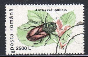 Romania 4091  CTO-NH  A. salicis (Beetle) (cv $0.45)