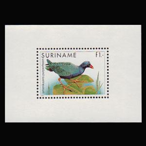 SURINAM 1985 - Scott# 725a S/S Purple Fowl NH