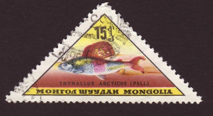 Mongolia 1962 SG#297 15m Fish Thymallus USED.