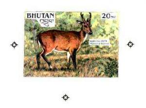 Bhutan 1990 Endangered Wildlife - Intermediate stage comp...