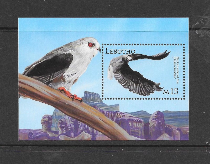 BIRDS - LESOTHO #1306 BLACKSHOULDERED KITE S/S MNH