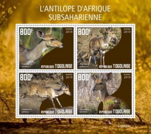 Togo - 2019 Sub-Saharan African Antelope - 4 Stamp Sheet - TG190566a