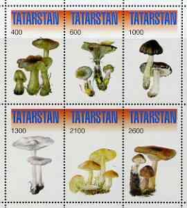 TATARSTAN SHEET MUSHROOMS 