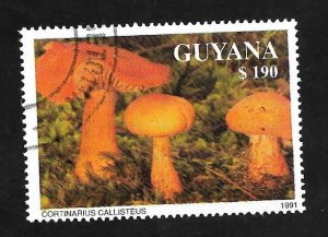 Guyana 1991 - FDI - Scott #2467