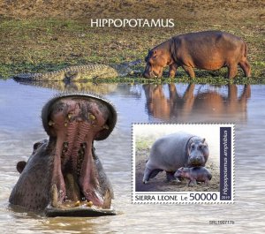 Sierra Leone 2019 MNH Wild Animals Stamps Hippopotamus Hippos Fauna 1v S/S