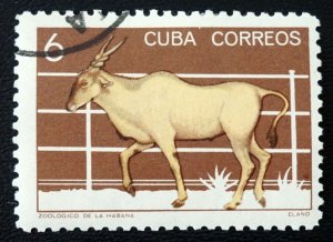 Cuba    Sc# 893  NATIONAL ZOO ANIMALS 6c ELAND  1964 used / cto