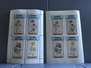 Holy Island Eynhallow Scotland Flowers plants Hepatica  MNH stamps  R24122