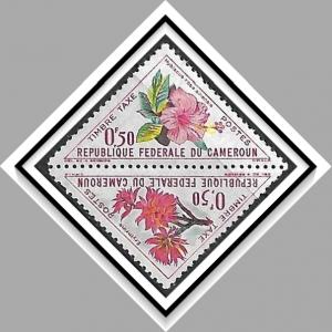 Cameroun #J35a Postage Due Pair MNH