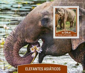 St Thomas - 2021 Asian Elephants - Stamp Souvenir Sheet - ST210505b